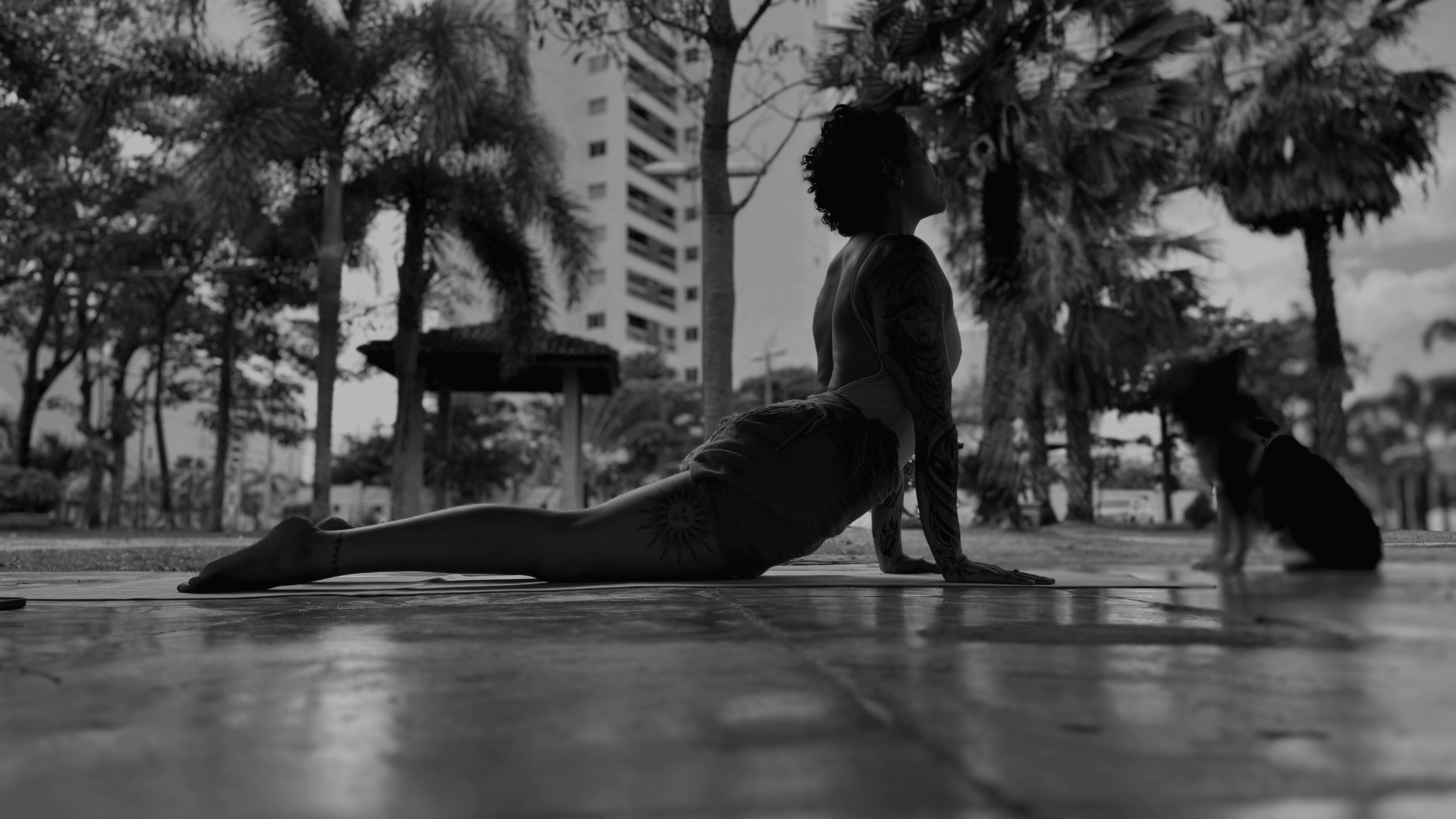 Mulher em prática de yoga sobre uma rocha à beira-mar, ao lado de um cão